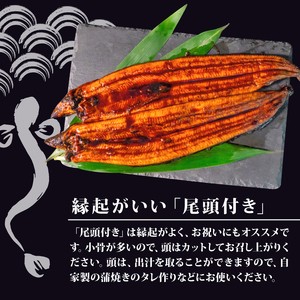 【 うなぎ蒲焼き 】 うなぎ蒲焼き 100g～120g 10尾