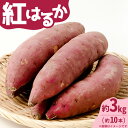 【ふるさと納税】【先行受付】紅はるか 約3kg（約10本）〔P-218〕 | さつまいも サツマイモ 芋 いも イモ おやつ デザート 秋 旬 国産 先行予約 数量 限定 那須 栃木県 那須町 ※2024年11月上旬頃より順次発送予定
