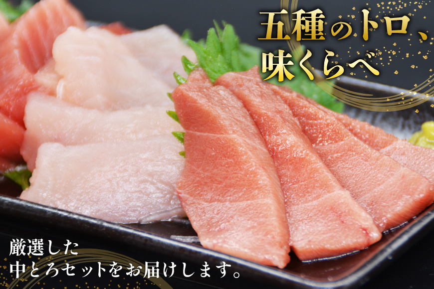 北かつのマグロ 中トロセット [北かつ商事 宮城県 気仙沼市 20563599] 魚 刺身 柵 鮪 まぐろ マグロ 本マグロ 南マグロ 中トロ メカジキ メバチ めばち ビンチョウ 冷凍 魚介類 魚介