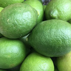 グリーン レモン 檸檬 2.5kg フルーツ 果物 くだもの 贈答 ギフト ビタミンC クエン酸 疲労 回復 ストレス 解消 免疫力 向上 大容量 国産 産直 皮ごと 丸ごと 愛媛 愛南