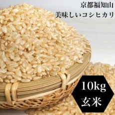 【令和4年産】京都 福知山産こしひかり 玄米10kg 一般には流通していない特別なお米です。