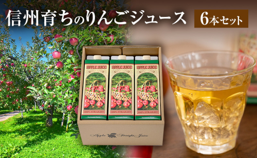 信州育ちのりんごジュース 6本詰 果実飲料 飲料類 飲み物 フルーツジュース アップルジュース 長野市産りんご りんご100％ ストレートジュース コク