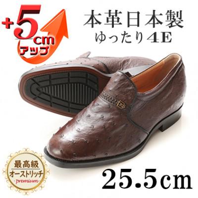 ふるさと納税 大和郡山市 オーストリッチ革4E幅広プレーンスリッポン 5cmアップシューズ No.65 ブラウン 25.5cm