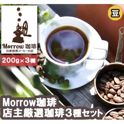 ふるさと納税 小郡市 初めてのMorrow珈琲 人気TOP3 コーヒー豆200g×3種[No5354-7026]