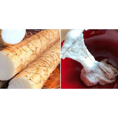 ふるさと納税 三条市 先行受付 自然薯 カットパック 約600g(300g×2) 山芋 とろろご飯に 【010S660】 |  | 01