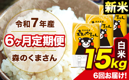 新米 米 令和7年産 森のくまさん 白米 15kg 5kg×3袋 計6回お届け 《11月から出荷開始》 お米 こめ 熊本県産 ご飯 備蓄