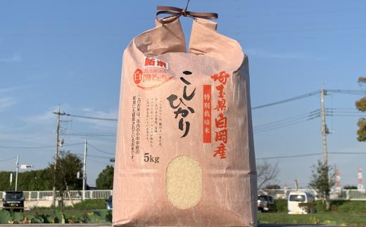 ＜令和7年産＞特別栽培米　コシヒカリ　5kg　【11246-0108】
