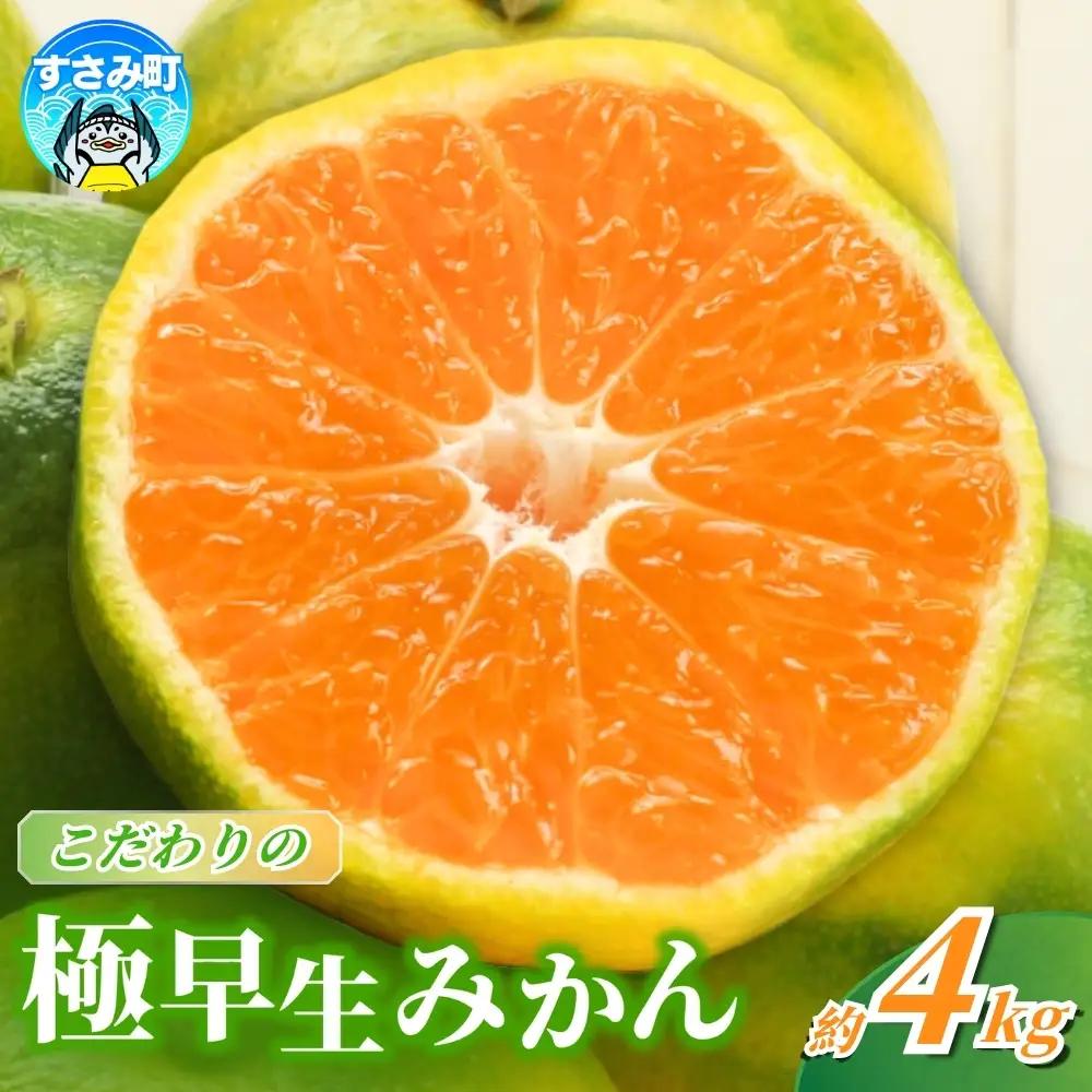 【2026年9月下旬~発送】極早生みかん【農家直送】こだわりの極早生みかん 約4kg【数量限定】 有機質肥料100% サイズ混合 ※2026年9月～10月に順次発送予定（お届け日指定不可） / 早生みかん みかん ミカン 有田みかん 温州みかん 柑橘 有田 和歌山 産地直送  くだもの 果物 フルーツ 柑橘類 和歌山 すさみ町【nuk171A】