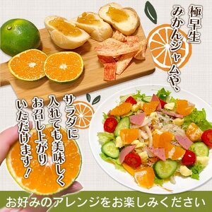 愛媛県明浜産　天晴みかん(極早生みかん)　10kg