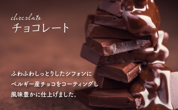 【定期便・全10回】【驚きのふわふわ触感】『ガナッシュシフォンケーキ』キタノカオリ石窯ガナッシュ（2ホール/1セット）×10回 ｜スイーツ チョコ ケーキ プレミアム小麦キタノカオリ100％ パン屋 