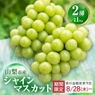 【2026年発送 先行受付】農福連携 シャインマスカット2房(合計1kg程度)【配送不可地域：離島】