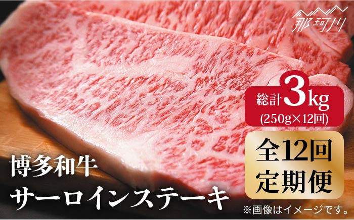 
            【全12回定期便】【A4ランク以上！】博多和牛 サーロインステーキ250g×1枚＜株式会社MEAT PLUS＞那珂川市 [GBW033]
          