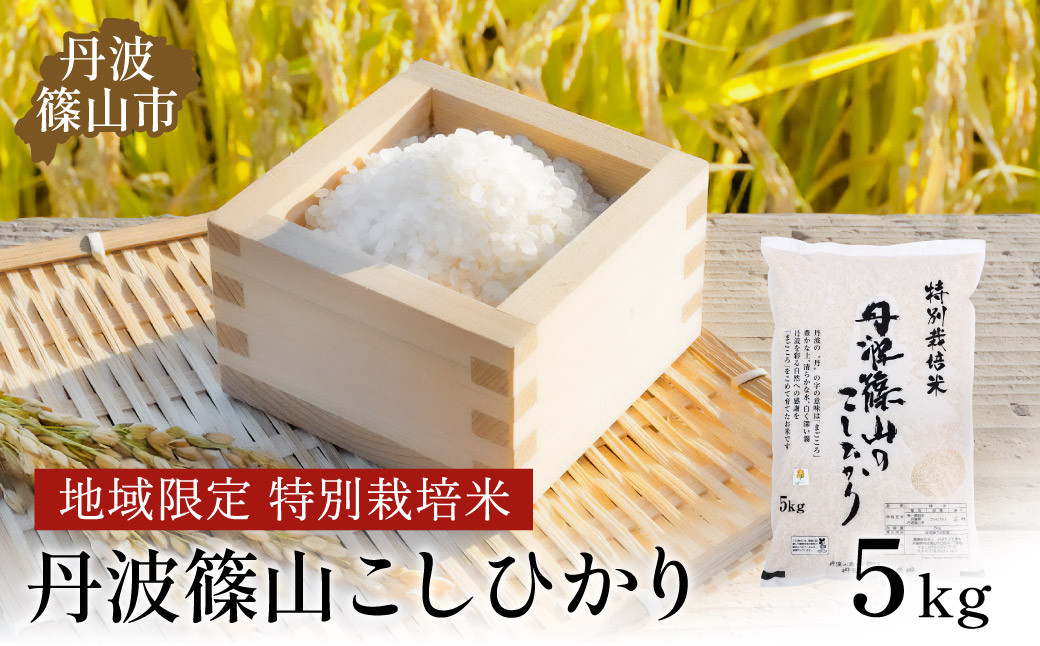 
            令和6年産 新米！ 丹波たぶち農場の特別栽培米こしひかり5kg
          