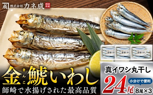 いわし 丸干し 冷凍 24尾(8尾×3袋) 小分け 干物 鰯 イワシ いわし 鰯 イワシ 干物 いわし 鰯 イワシ 干物 いわし 鰯 イワシ 干物 いわし 鰯 イワシ 干物 ご飯のおとも 酒の肴 酒のつまみ 海鮮 ふるさと納税いわし ふるさと納税鰯 ふるさと納税イワシ ふるさと納税干物 ふるさと納税いわし ふるさと納税鰯 ふるさと納税イワシ ふるさと納税干物 カネ成 金鯱いわし 愛知県 南知多