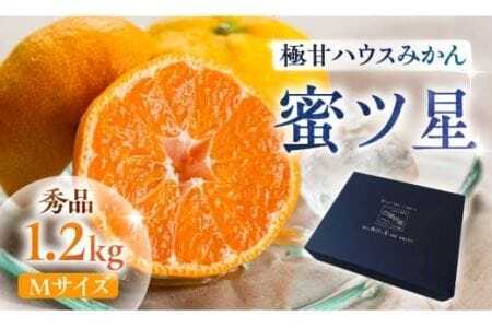 ≪今が旬！≫ 濃厚ハウスみかん『蜜ツ星』秀品１.２kg（Mサイズ12玉）みかん  