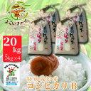 【ふるさと納税】【C-547】【令和6年産　新米】よこいファーム 特別栽培米コシヒカリB　20kg（5kg×4） ［高島屋選定品］※9月中旬以降順次、令和6年産新米をお届けいたします。