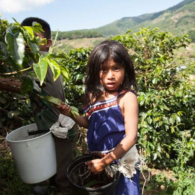 ふるさと納税 富士吉田市 【訳あり】フェアトレード ブレンドコーヒー豆160g×4袋計640g SDGsふるさと納税で国際貢献 |  | 02