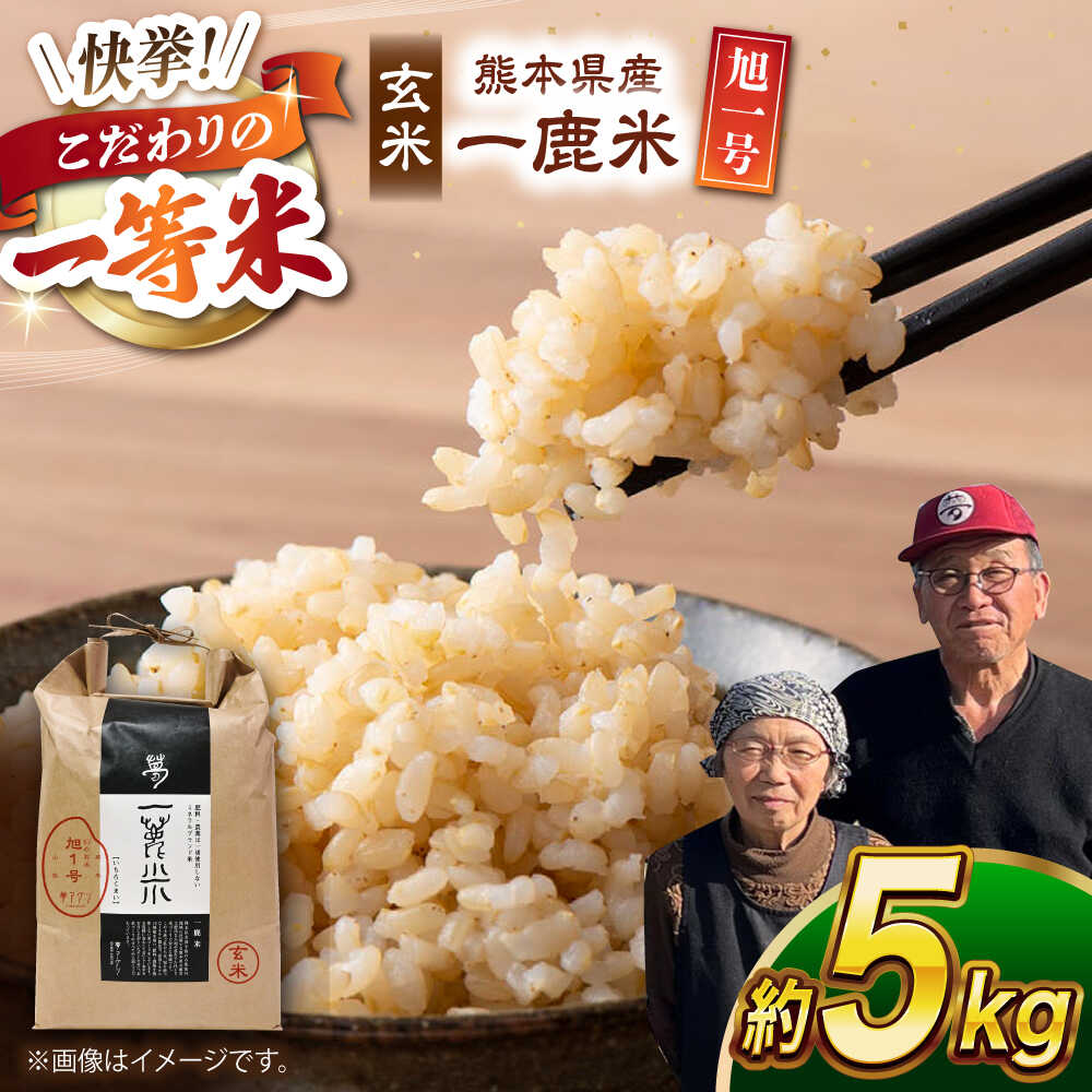 【ふるさと納税】【先行予約】 【天日塩を使用】一鹿米 旭一号 米 玄米 5kg【株式会社 夢アグリ】[ZCL015]