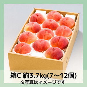【2024年先行受付】山梨 萩原フルーツ農園の桃(白桃) 3.7kg(10～17個入)【配送不可地域：離島】【1477612】