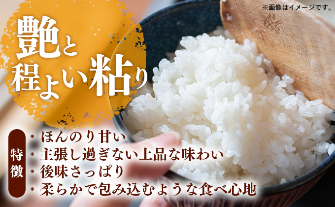 【無洗米】夢つくし 10kg(5kg×2袋)《30日以内に出荷予定(土日祝除く)》 米 こめ コメ 福岡県産米 ゆめつくし 人気 白米 おすすめ もちもち 福岡県 鞍手町