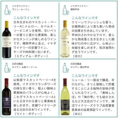 ふるさと納税 山梨県 山梨ワイン 至極の12本セット |  | 03