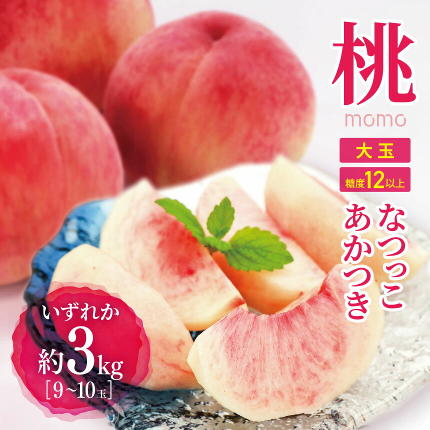 【ふるさと納税】【先行受付：8月～発送】信州産桃 旬の桃（なつっこorあかつき）大玉 3kg（9～10玉） ｜ ふるさと納税 松本市 桃 もも なつっこ あかつき 果物 フルーツ 甘い 果汁 長野県