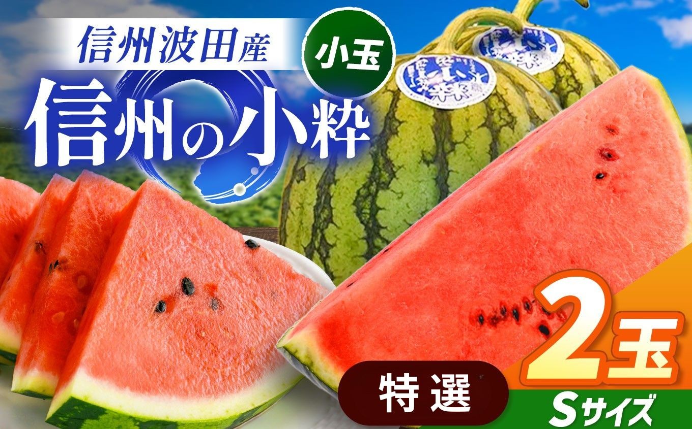 
            【先行受付：2026年7月発送】信州波田産 小玉スイカ！信州の小粋 【特選】 2玉 Sサイズ｜ふるさと納税 長野県 信州 松本 果物 フルーツ すいか スイカ 西瓜 贈答 季節限定 甘い くだもの ふるーつ
          