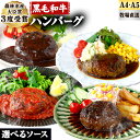 【ふるさと納税】厳選 くまもと 黒毛和牛 ハンバーグ 3種食べ比べセット 《30日以内に出荷予定(土日祝除く)》選べる 3種類のソース デミグラス トマト ペッパー カレー 熊本県 大津町 和牛焼肉LIEBE くまもと黒毛和牛 ハンバーグ 冷凍 リーベ