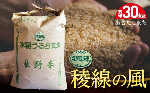 特別栽培米　稜線の風（あきたこまち）玄米 30kg｜米  国産米 長野県産 人気 おすすめ お米 減農薬 ごはん 和食 健康 送料無料 長野県 大町市 ふるさと納税