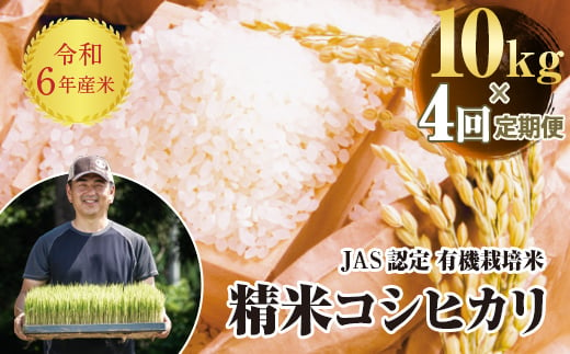 ＜定期便4ヶ月＞ 令和6年産米  JAS認定 有機栽培米 コシヒカリ 精米 10kg 米 お米 おこめ ご飯 ごはん 福島県 西会津町 F4D-1313