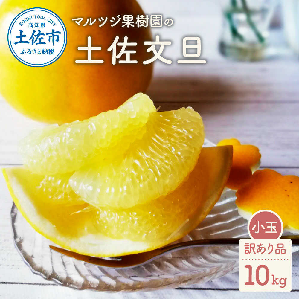 【ふるさと納税】【先行予約】【訳あり】マルツジ果樹園の土佐文旦 (小玉) 約10キロ 10kg M~Lサイズ 24~34個入り 土佐文旦 高知 柑橘 フルーツ ぶんたん 果物 甘い 旬 産直 お取り寄せ 高知県土佐市/マルツジ果樹園[BQAN008]