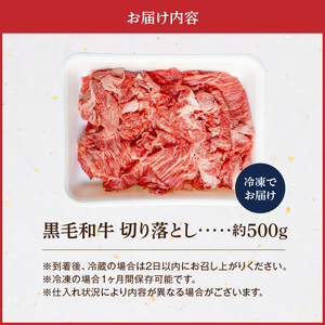 S001-033_黒毛和牛 切り落とし 500g（1P）