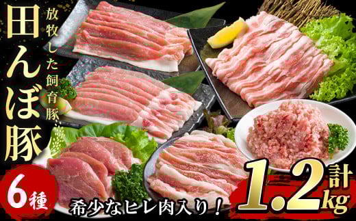 ≪希少なヒレ肉入り≫ 田んぼ豚セット 計1.2kg (200g×6種) 豚肉 肉 お肉 冷凍 にく 登米市産 ヒレ厚切り ロース バラ モモのスライス 肩焼肉用 ひき肉 【株式会社いなほ】tm269