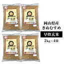 【ふるさと納税】早炊 玄米 岡山県産 きぬむすめ 2kg×4袋 お米 国内産　【 ご飯 おにぎり お弁当 和食 国産 産地直送 玄米食 玄米の栄養素 】