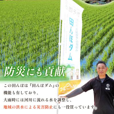 ふるさと納税 西予市 <令和7年産 愛媛県西予市産 コシヒカリ 田んぼダム米 5kg 6回定期便　 |  | 03