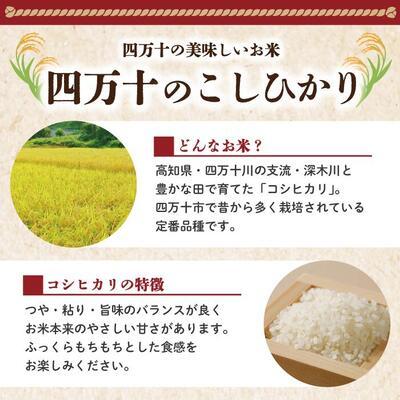 ふるさと納税 四万十市 【令和7年産】四万十のこしひかり10kg (5kg×2袋) R8 |  | 01