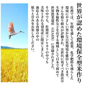 【令和5年度産】新潟県産コシヒカリ そんまんま真空パック 食べ比べセット 900g×5種