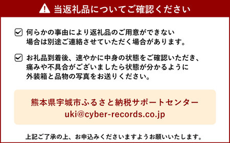 【先行予約】訳あり ハウス 不知火 約5kg【合同会社宝Farm】【2025年1月下旬から3月上旬発送予定】