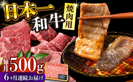 【6回定期便】 A4-A5 長崎和牛 焼肉用 500g / 焼肉 焼肉用 和牛焼肉 長崎和牛 牛肉焼肉 焼き肉 やきにく 7万【株式会社 MEAT PLUS】 [DBS035]