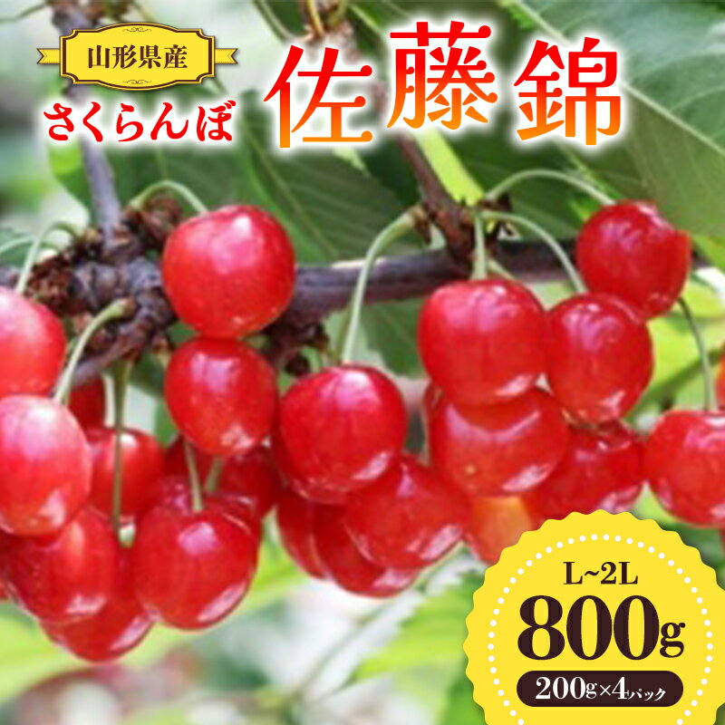 【ふるさと納税】 【先行予約 令和8年度発送】山形県産 さくらんぼ 佐藤錦 800g（200g×4パック）秀品以上 L～2Lサイズ FSY-0691