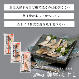 【干物 灰干し】桜島 の 火山灰 で 国産 さば を一晩 熟成 旨味が詰まった『 薩摩 の 灰干し さば 6点セット』(浜上水産/A-336)本格干物！珍しい干物！【 干物 ひもの つまみ おつまみセ