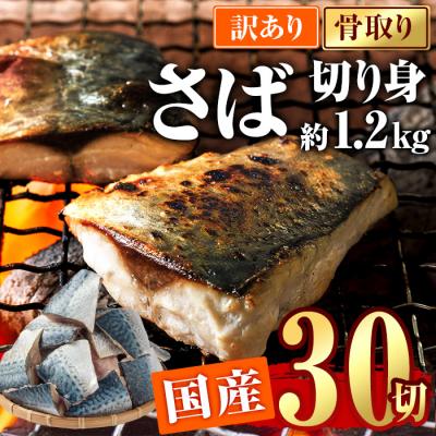 ふるさと納税 佐伯市 訳あり・鯖 切り身(総計約1.2kg・30切)