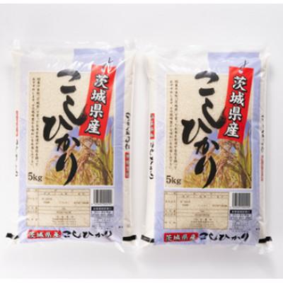 ふるさと納税 稲敷市 【毎月定期便】茨城県稲敷市産こしひかり10kg(5kg×2) 全3回 |  | 01