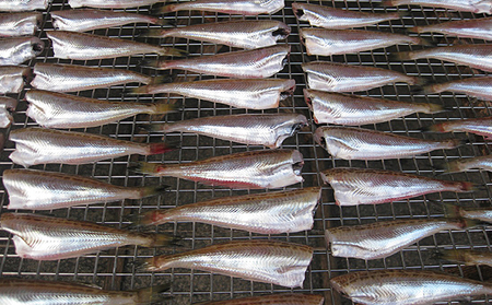 ハタハタ 干物 一夜干し 無頭 約250g×4袋 計1kg 海鮮 干物 おつまみ 肴 ハタハタ 酒 myz02 myz11 myz17