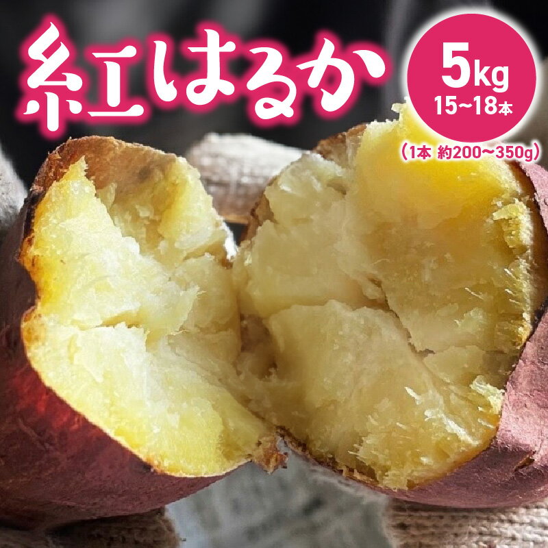 【ふるさと納税】さつまいも 紅はるか 国産 5kg 15本 ～ 18本 入 1本 約 200～350g 甘い 糖度 高い 高糖度 1ヶ月 熟成 濃厚 味わい しっとり ホクホク 常温発送 宇佐川農園 芋 焼き芋 福岡県 久留米市 お取り寄せ お取り寄せグルメ 野菜 送料無料
