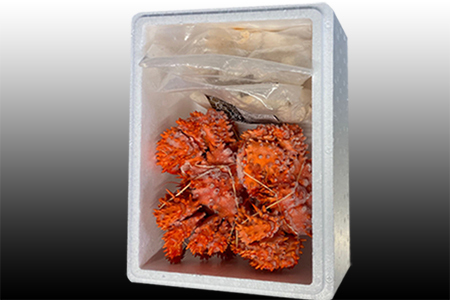 【北海道根室産】花咲かに500g前後～650g前後×2尾、たこ唐揚げ250g×2P C-76045