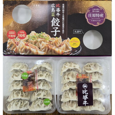 【ふるさと納税】庄原特産　比婆牛・広島菜餃子　計2パック【配送不可地域：離島】【1704471】