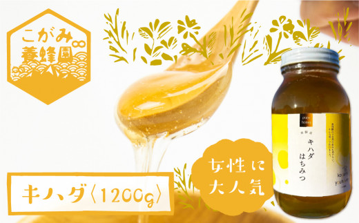 キハダ 蜂蜜 1200g はちみつ ハチミツ 国産 非加熱