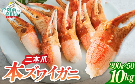 本ズワイガニ 爪肉 200g×50パック 計10kg 【 かに カニ 蟹 二本爪 蟹爪 ズワイガニ むき身 ボイル 冷凍 刺身 寿司 海鮮丼 魚介 海鮮 広栄水産 】 RT1273