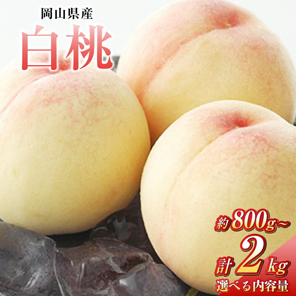 【ふるさと納税】＜選べる容量＞桃 2025年 先行予約 白桃 3玉（約800g）5玉（約1.3kg）8玉（約2.0kg）もも モモ 岡山県産 国産 フルーツ 果物 ギフト 果物 デザート スイーツ フルーツ 果肉 美味しい 甘い 柔らかい 上品【2025年7月上旬～7月下旬 発送予定】
